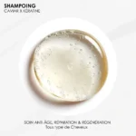 TEXTURE shampoing-caviar-keratine